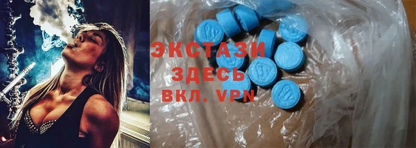 мяу мяу мука Аркадак